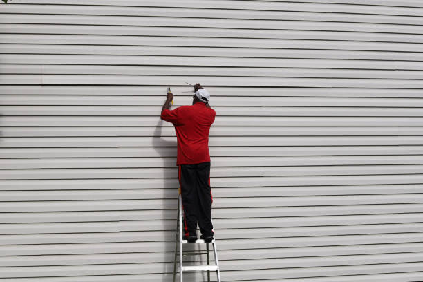 Best Custom Siding Design  in Lakehurst, NJ