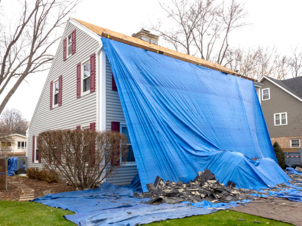 Best Engineered Wood Siding  in Lakehurst, NJ